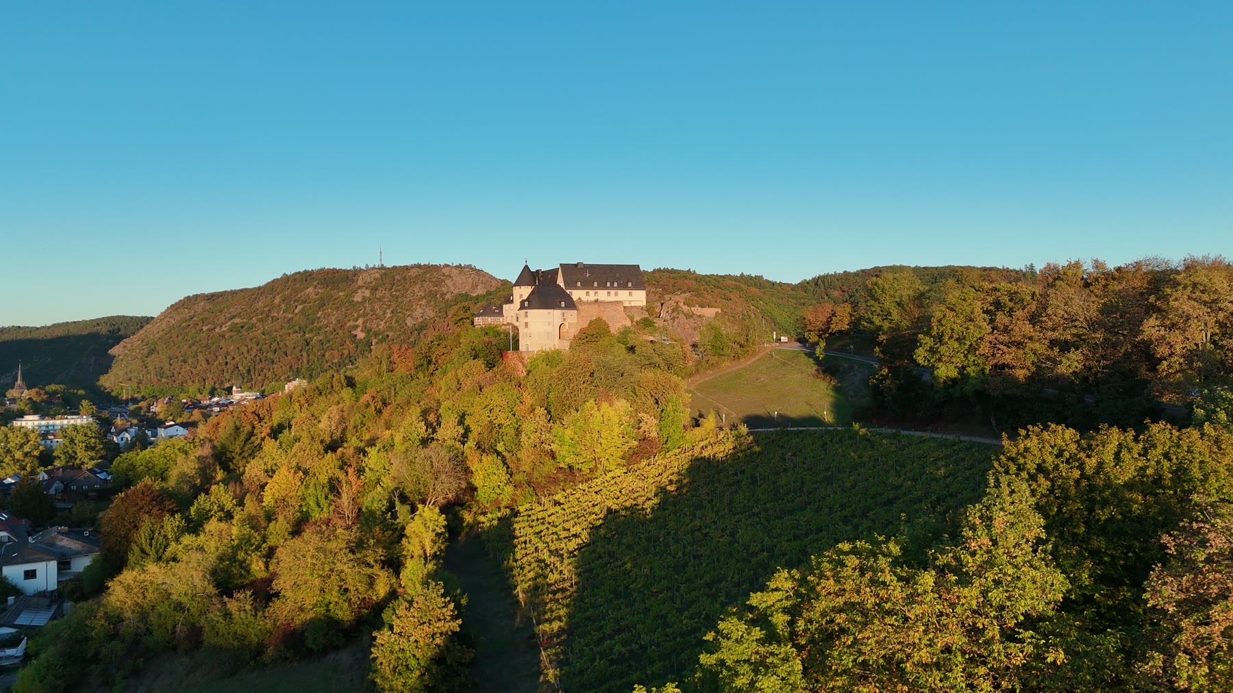 Die Ebernburg über den Weinbergen im Abendlicht