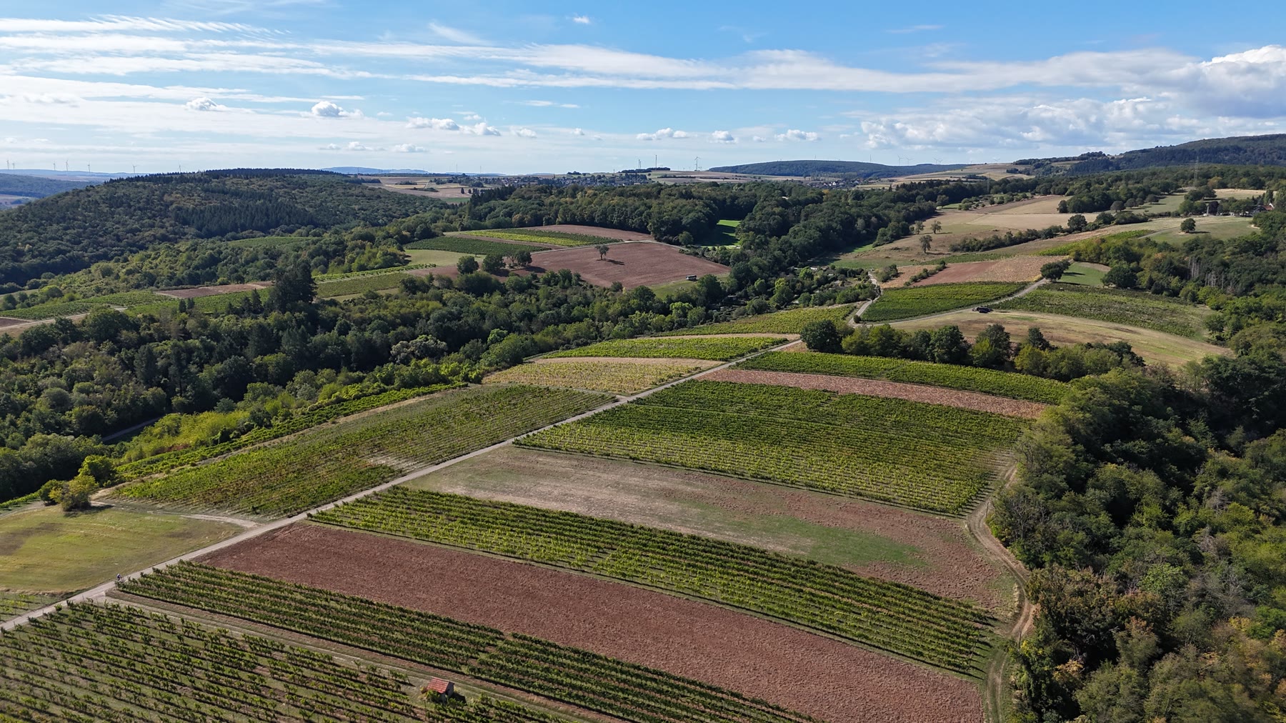 Mosaik aus Weinbergen bei Ebernburg aus der Luft