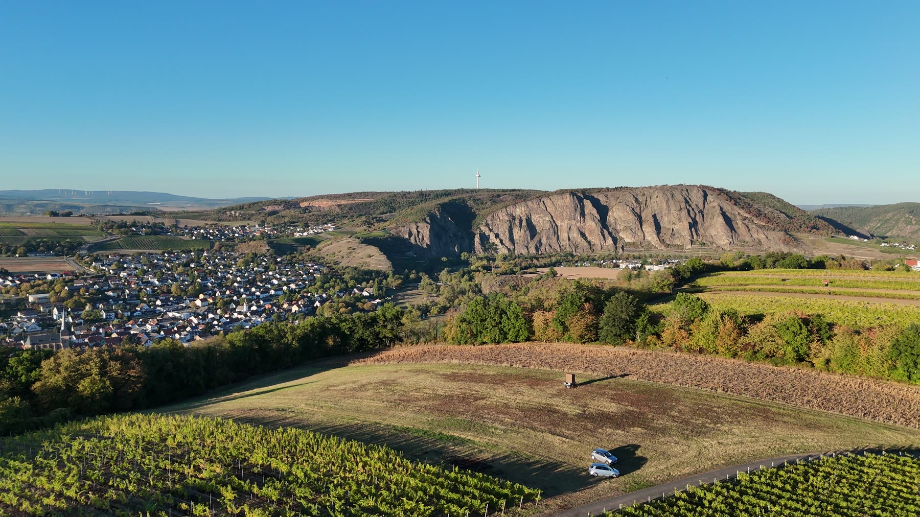 Weinberge vor dem Rotenfels im goldenen Abendlicht